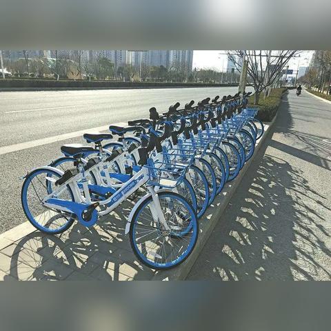 (狗 地铁)惊险！狗狗地铁逃生火焰刀免费下载充满刺激冒险