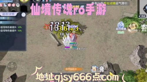 探讨网络游戏巴风特之怒中正版与盗版之争，客观分析哪个才是玩家应该选择的正版游戏