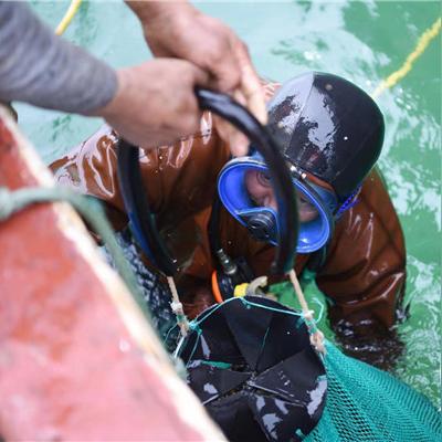 《牧剑2》：全新世界探索之旅，精彩剧情引人入胜，挑战无限可能性！