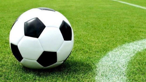 (我的足球小说)我的足球帝国：打造一个属于自己的足球王国，征服荣耀之路