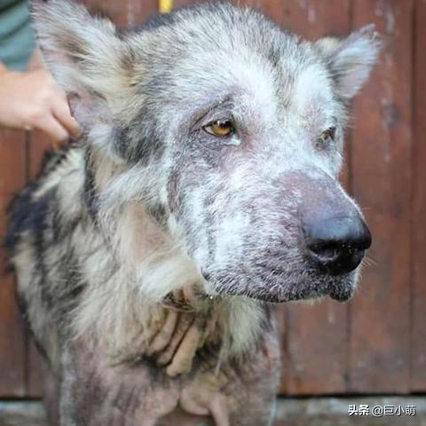 (众神之王奥丁的故事简介)探寻众神之王奥丁的智慧境界，解析神秘的十字之道