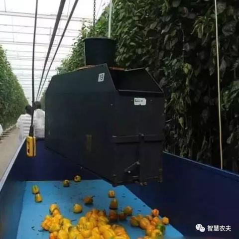 (疯狂传送门无限金币钻石版)疯狂传送门安卓：探秘新世界，体验跨越时空的刺激冒险之旅