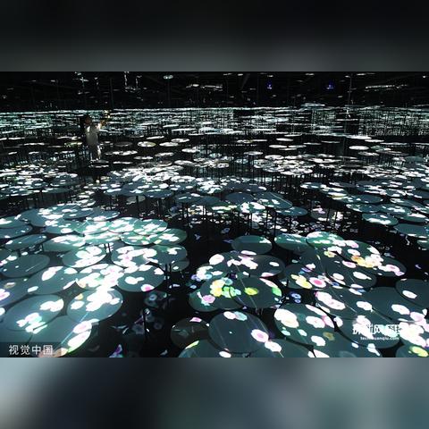 (空想森林第几集)探寻空想森林背后的真实故事：隐藏在幻想中的秘密