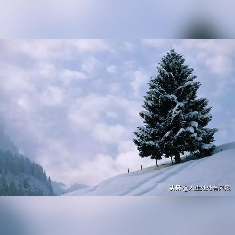 (钟楼1游戏攻略)探寻钟楼1的历史之旅：详细图文攻略带你畅游古老的钟楼1