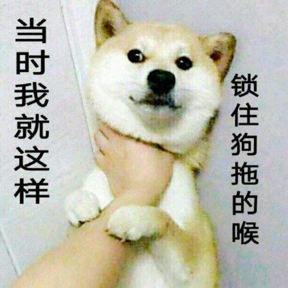 (梦幻西游神兽狗)探索梦幻西游宠物狗的世界：神秘力量、可爱造型与独特技能