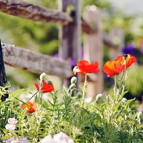 深度解析:冒险与征服攻略单机游戏,勇者技能选择与最强阵容优化策略详细指南 深度解析:冒险与征服攻略单机游戏,勇者技能选择与最强阵容优化策略详细指南