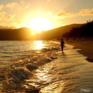 探索推荐：锵锵锵锵锵锵锵游软件大全，一站式解决你的所有旅行问题