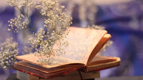 (社会的福报)如何让社畜的福报111000变得更加美好和充实?Tips和调整方法分享 (社会的福报)如何让社畜的福报111000变得更加美好和充实?Tips和调整方法分享