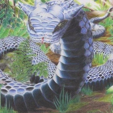 (异界修真-山海经)穿越异界修真:探秘神秘山海经,迎战无尽异兽挑战 (异界修真-山海经)穿越异界修真:探秘神秘山海经,迎战无尽异兽挑战