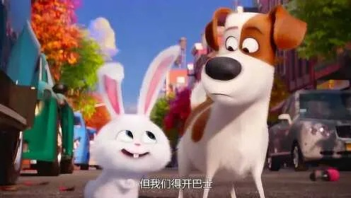 (萌宠大作战改名了吗)萌宠大作战被改名后,新名字为何? (萌宠大作战改名了吗)萌宠大作战被改名后,新名字为何?