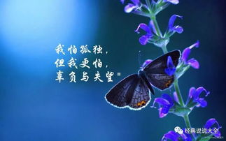 (血蝶什么意思)深入探讨血蝶的隐喻和象征意义 (血蝶什么意思)深入探讨血蝶的隐喻和象征意义