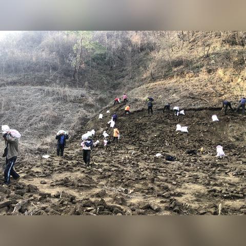 (阳春艺曲歌曲全部)完整解锁版!阳春艺曲歌曲全资源包含,尽享经典曲目无遗漏 (阳春艺曲歌曲全部)完整解锁版!阳春艺曲歌曲全资源包含,尽享经典曲目无遗漏
