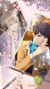 (梦间集天鹅座菜品配方)探寻梦境之美，解码梦间集天鹅座，星辰之谜闪烁不定