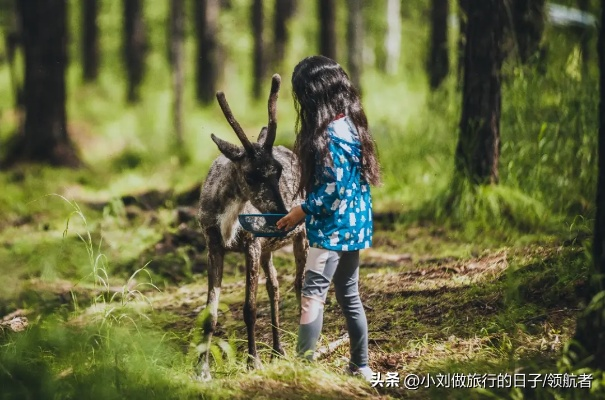 (麋鹿语音百度百科)麋鹿物语：我们的冒险旅程