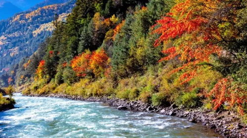 (千里江山mv)千里江山不如你高清免费版，令人心动的风景在你眼前