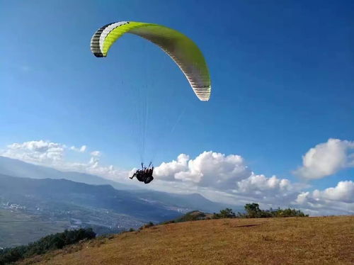 独自踏上未知之路：孤独的冒险家在寻找自我意义的旅程中追逐梦想