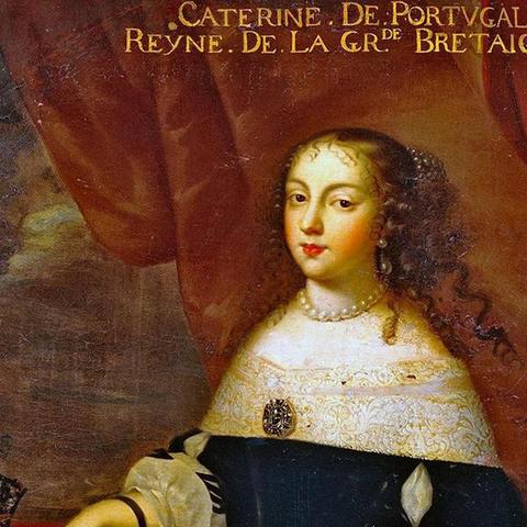 绅士必备：探寻黄油单机，打造精致生活。