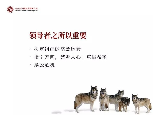 (统帅的真正含义)统帅什么：探寻领袖的智慧，洞悉领导者的责任与使命