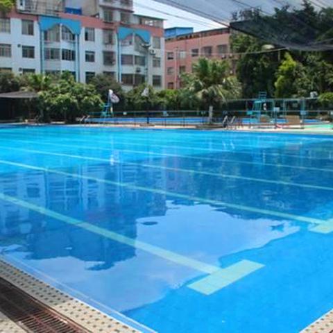 (植物总动员完整版)植物总动员老版本:重温经典的绿色之夜 (植物总动员完整版)植物总动员老版本:重温经典的绿色之夜