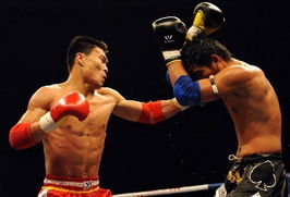 (2021搏击比赛)决战荣耀：探寻中国职业搏击赛事的精彩之处