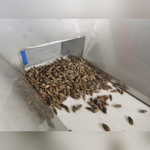 (电脑系统一直升级优化中)解决方案：电脑系统优化升级过程中频繁卡住的问题分析与处理