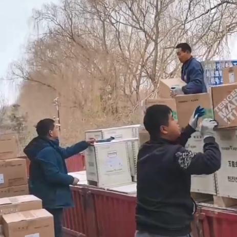 (生命方舟中文版怎么玩)生命方舟1中文版攻略：全方位解析生存技巧与资源收集策略