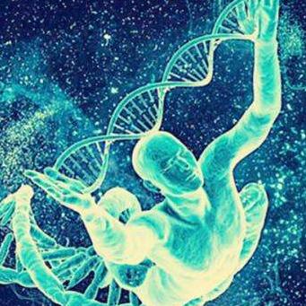 (生命方舟中文版怎么玩)生命方舟1中文版攻略：全方位解析生存技巧与资源收集策略