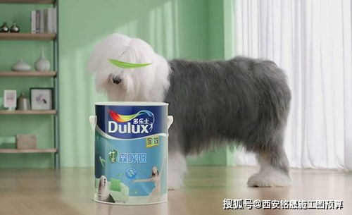 玩转整蛊邻居2：十大攻略与技巧，让你轻松赢得整蛊大战的胜利！