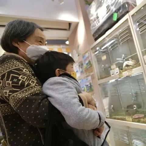 (仓鼠蛋糕厂攻略)仓鼠蛋糕工厂进军2023市场！内置菜单完整下载服务限时开启！