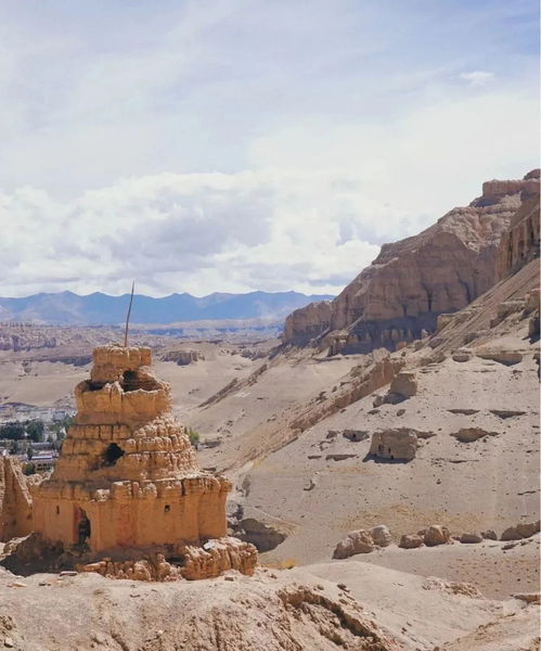 令人惊叹的大老爷图片展示：一幅独特视觉盛宴，让您心驰神往！