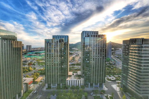 探索楼宇之间的秘密：城市空间交汇处的人文与自然交融