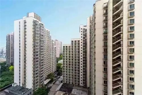 探索楼宇之间的秘密：城市空间交汇处的人文与自然交融