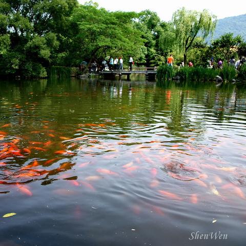 深度解析古代哲学思想：探讨'乾坤'的深层含义及其在中国文化中的重要位置