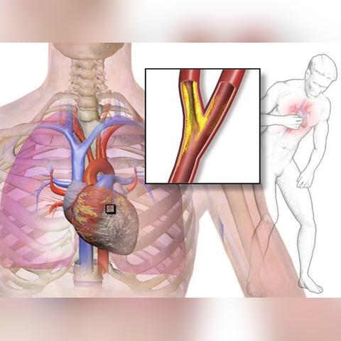 (运动员甘油)镜头下的胸前曝光照片展示出完美的曲线和神秘的魅力