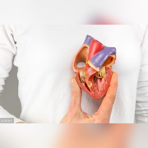 (运动员甘油)镜头下的胸前曝光照片展示出完美的曲线和神秘的魅力 (运动员甘油)镜头下的胸前曝光照片展示出完美的曲线和神秘的魅力