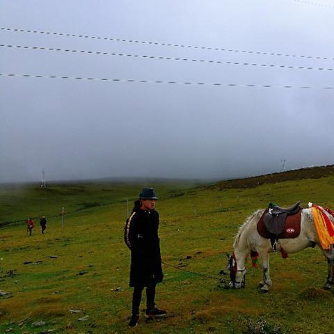 探秘原始森林：讲述冲啥原始人猴哥带足了何种装备才能在残酷的野外生存下来