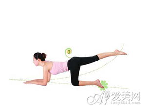 每天只需15分钟，轻松练习养生体操与五行健康体操，提升身体活力与免疫力！