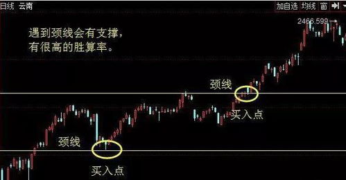 (平行途迷)平行仙途陆凡最新章节列表更新进度一览