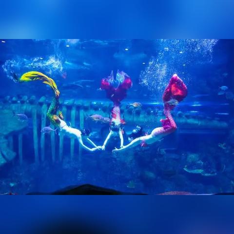 探寻奇趣博物馆中珍贵航海图纸的历史传奇