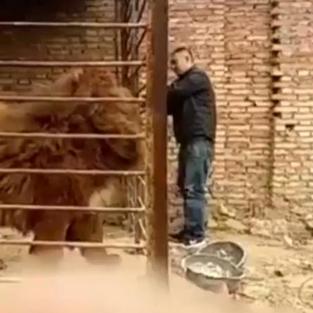 (家养可爱宠物排名)萌宠养什么好?探索适合家庭的可爱宠物及其饲养技巧 (家养可爱宠物排名)萌宠养什么好?探索适合家庭的可爱宠物及其饲养技巧