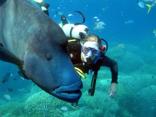 (潜水探险作文)我的奇幻潜水日记：探索海底世界的奇妙旅程（300字）