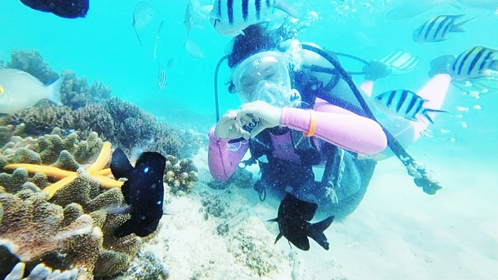 (潜水探险作文)我的奇幻潜水日记：探索海底世界的奇妙旅程（300字）