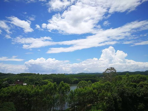 (落日山丘攻略)在落日山丘安卓下载安装，感受自然与和谐的魅力