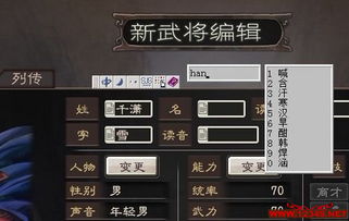 探究《三国志奇侠传》游戏无法连接网络的现象：原因分析及解决方案