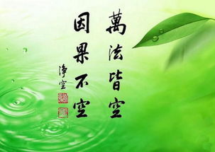 三世因果经讲解：了解因果轮回的道理，善因善果，恶因恶果，苦源与解脱