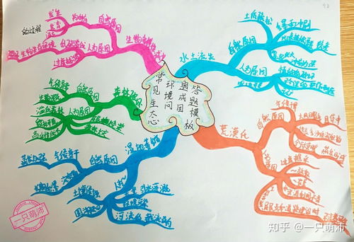 (众神之王奥丁思维导图怎么画四年级)神话传说中的众神之王奥丁思维导图完整解析