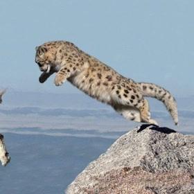 探索未知之旅：详解如何利用超级精灵手表成功抵达雪山之巅的完整指南