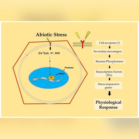 (异环磷酰胺作用是什么)《异环》即将登陆全球各大平台，引发全球热潮
