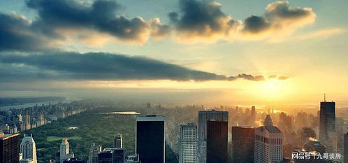 (这城有点田下载)这城有点田官网：探寻城市的绿色底色