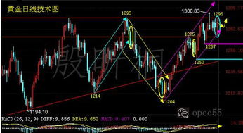 如何应对兽潮来袭：全面攻略与生存技巧，帮助你在危机中逆转局势